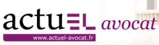Réseaux consulaires en débat au Sénat : le CNB pointé du doigt Réseaux consulaires en débat au Sénat : le CNB pointé du doigt