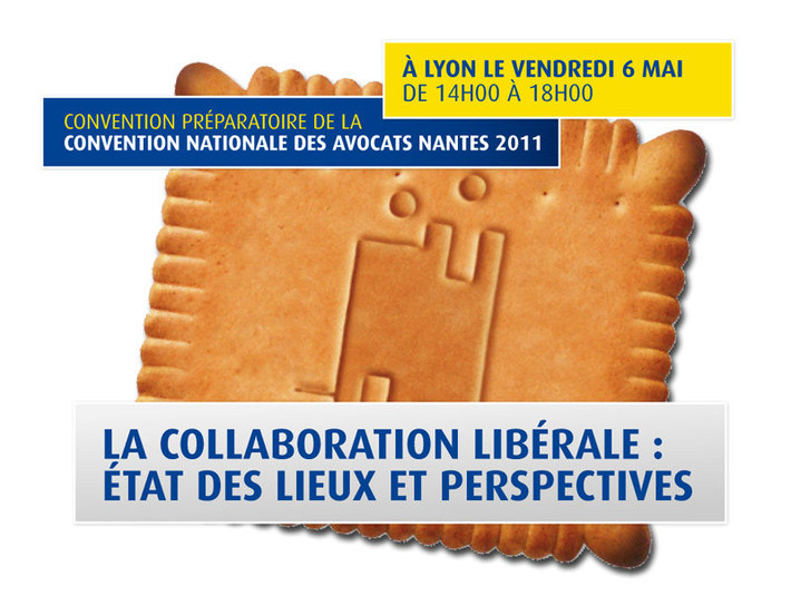 La collaboration libérale :  <br>état des lieux et perspectives