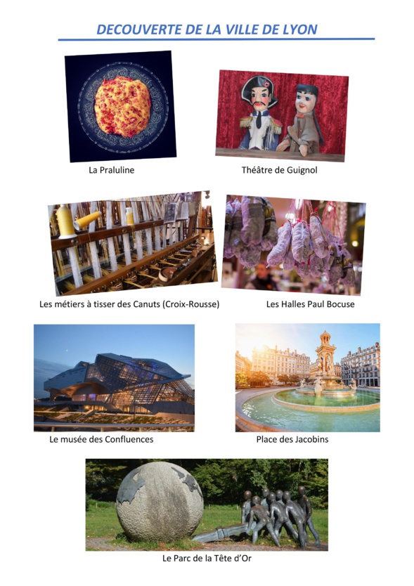 Comité décentralisé FNUJA organisé par l'UJA de Lyon  Comité décentralisé FNUJA organisé par l'UJA de Lyon