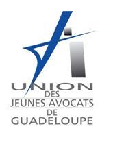 GUADELOUPE : Motion dénonçant les incidents graves survenus en Garde à Vue, le 13 Juillet 2012 