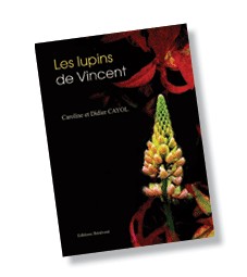 Hommage aux avocats romanciers Hommage aux avocats romanciers