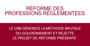 PROFESSIONS REGLEMENTEES : Notre Avenir nous appartient ! 