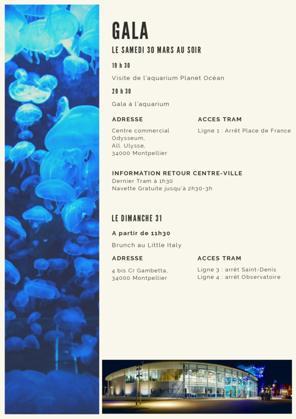 Comité décentralisé de la FNUJA à Montpellier du 28 au 31 mars 2024