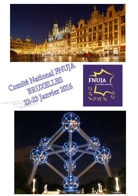 COMITE NATIONAL DECENTRALISE - BRUXELLES