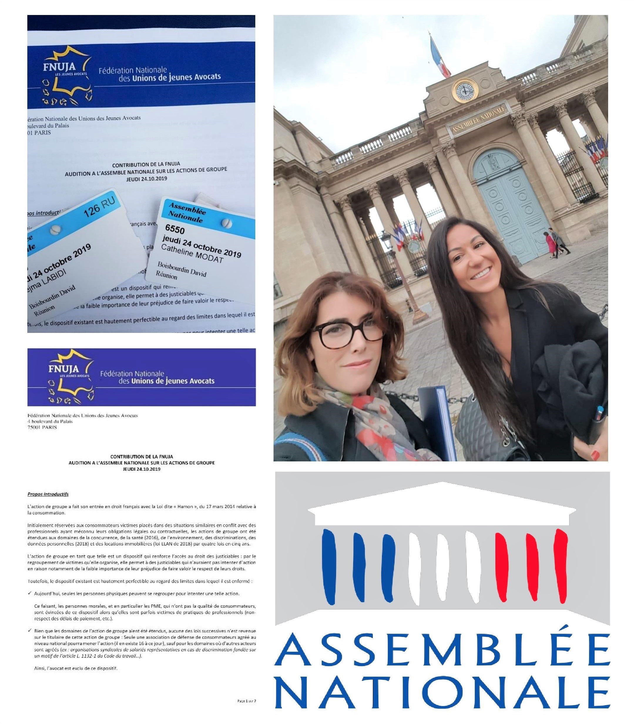 Audition à l'Assemblée Nationale de la FNUJA "action groupe"