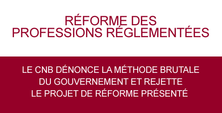 PROFESSIONS REGLEMENTEES : Notre Avenir nous appartient ! 