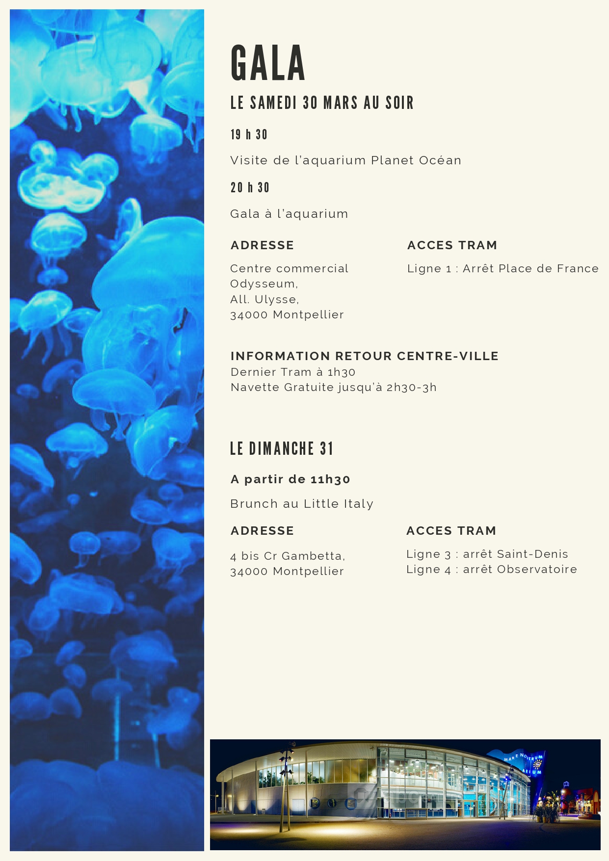 Comité décentralisé de la FNUJA à Montpellier du 28 au 31 mars 2024
