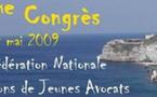 Corse 2009 : Motion Avenir de la Profession