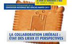 La collaboration libérale :  <br>état des lieux et perspectives La collaboration libérale :  <br>état des lieux et perspectives