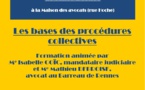 RENNES - Formation: les bases des procédures collectives