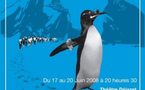 Revue de l'UJA de PARIS 2008: MEME LES PINGOUINS !