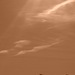 DSCN7160.JPG