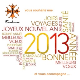 VOEUX 2013